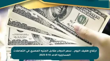 ارتفاع طفيف اليوم.. سعر الدولار مقابل الجنيه المصري في التعاملات المسائية الأحد 14-9-2025